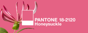 pantone 2011 hue: honeysuckle