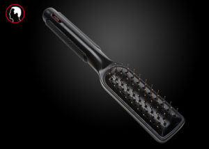 Ace Dandruff Control Brush