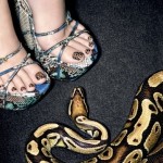 Vogue Python Manciure