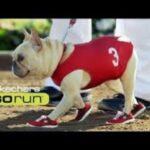 The Daily Trend TV: Skechers Replaces Kim Kardashian For Superbowl Ad (VIDEO)