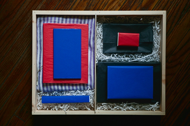 Svbscription travel box