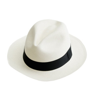 J. Crew Panama Hat