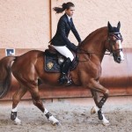 Get Blue Ribbon Style With our Favorite Equestrian-Inspired Pieces