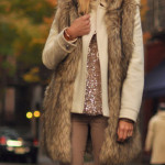 Save Steal Splurge: the Faux Fur Vest